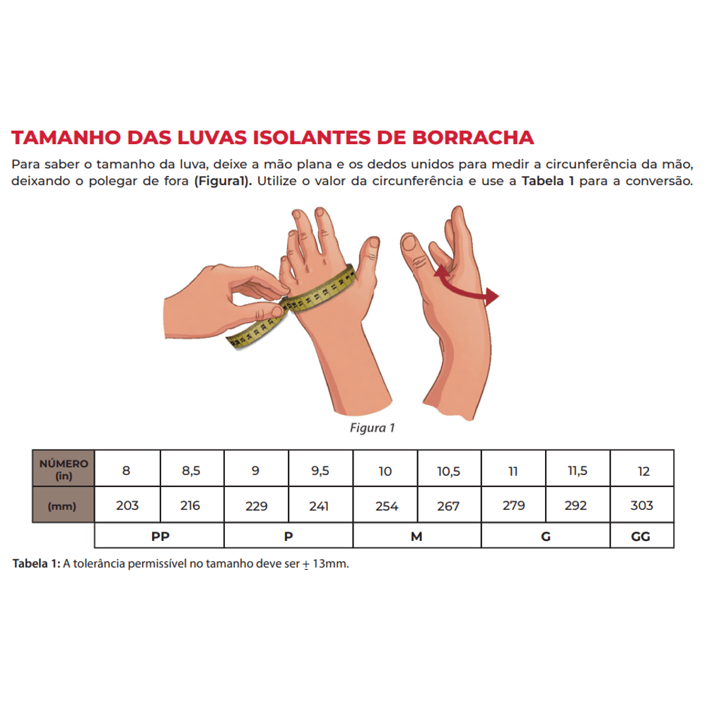Captura de tela 2026-03-05 161806